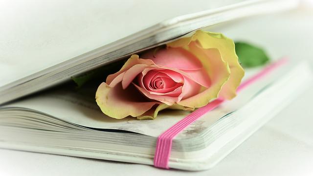 notes i róża